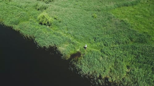 A Fisherman On The Shore Of The Lake Catches Fish On A Spinning Rod. Aerial Photography..