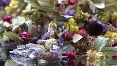 Colorful Dried Herbs and Botanicals Close Up