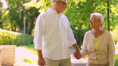 Happy Senior Couple Walking at Summer City Park 1