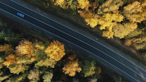 Aerial View of a Diagonal Forest Road in the Middle of Yellow Autumn Trees