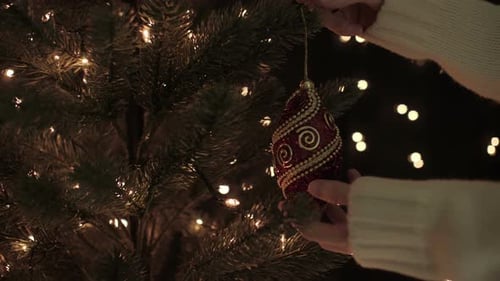 Decorating Christmas Tree with Ornament at Night