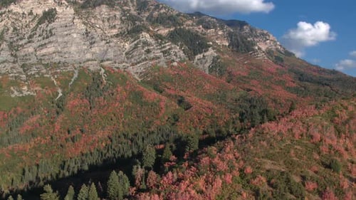 Aerial view flying toward mountain side covered in colorful foliage