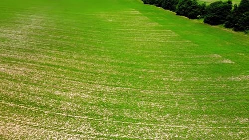 Aerial drone view of a flying over the rural agricultural landscape.