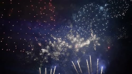 Vibrant Fireworks Exploding at Night