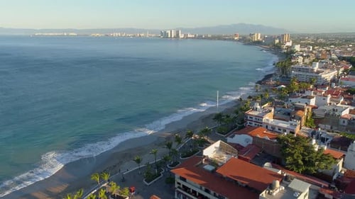 Coastal City Aerial View with Beach and Palms