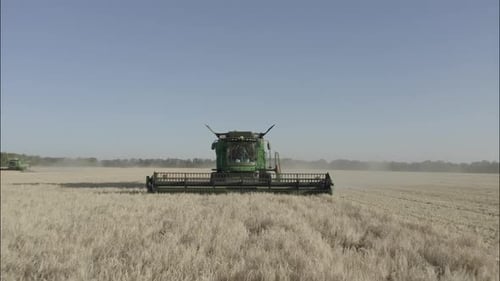 Combine Harvesting Wheat Top View of a Wheatfield