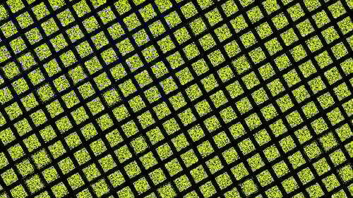 Endless quantity of bright yellow QR code