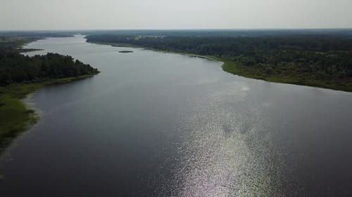 Wild Nature Of The Lake Zaronovo 17