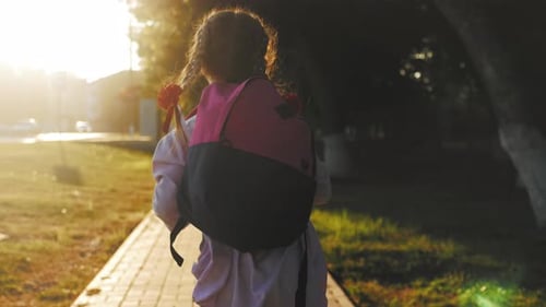 Zurück zur Schule