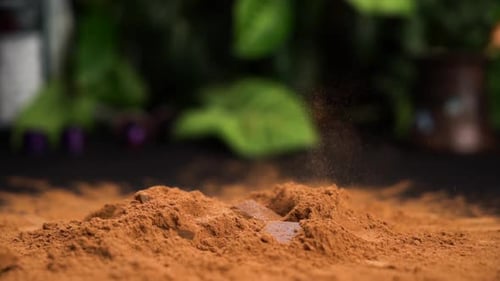 Chocolate Pieces Falling Into Cacao Powder in Slow Motion on a Black Table with Nice Green Plants on