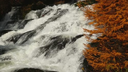 Flujo del río otoñal