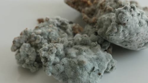 Moisissure verte sur la surface du pain, inclinaison lente 4K 2160p, 30 images par seconde, vidéo UltraHD - Inclinaison sur de la nourriture pourrie