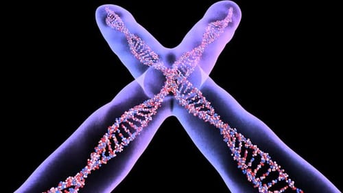 Animated 3D DNA Strands Forming a Chromosome