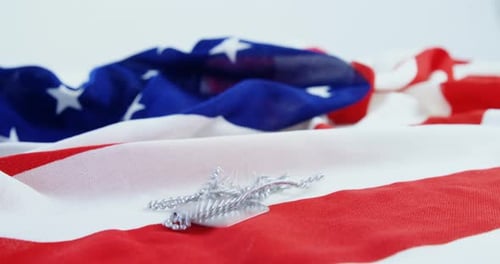 Dog Tags Falling on American Flag
