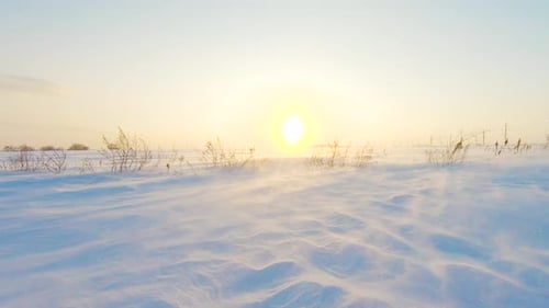 Schneewetter-Klimakonzept