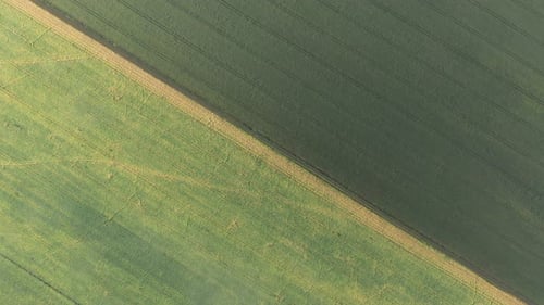 Green Fields Aerial View of Rural Farmland