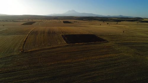 Champs agricoles d'automne