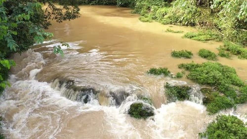 Ein tropischer Fluss mit braunem Wasser, der die Zweige zeigt, die über dem Wasser hängen