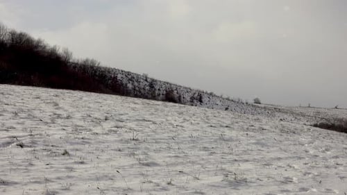 Adult Hiker on Snowy Hillside in Winter