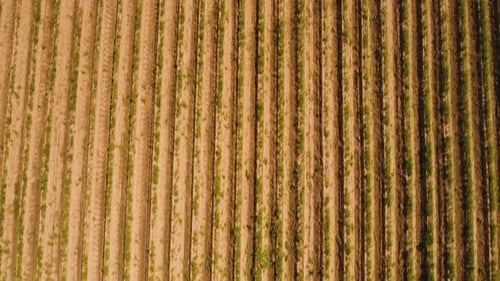 Aerial View of Farmland.