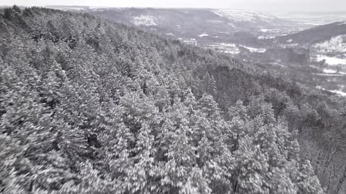 Snowy Forest Aerial View on Overcast Winter Day
