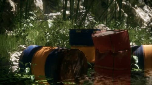 Rusty Barrels in Green Forest