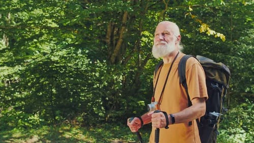 Senior Man Hiker Walking Along the Road in the Forest with a Backpack Hike