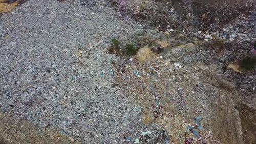 Aerial view egret birds fly over rubbish dump
