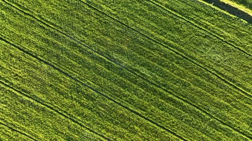 Farm Hintergrund Textur 4 K Luftbild