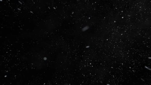 Winter snowfall. Low angle shot of a dense snow against a black background.