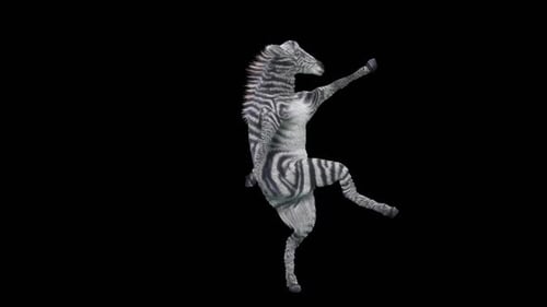 Funny Zebra Character Animation Performing a Humorous Dance
