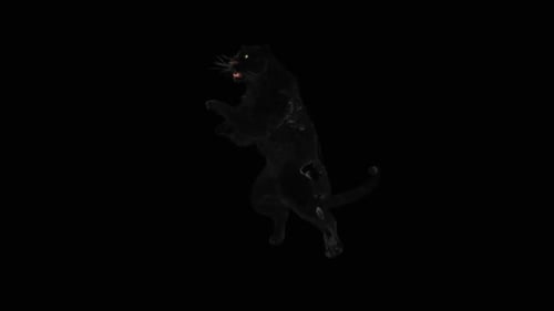 Animated 3D Black Panther Attack Loop