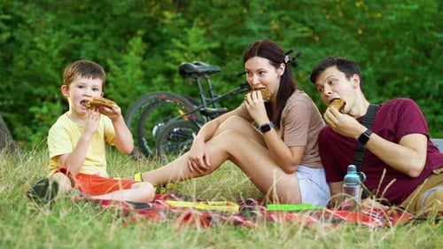 Happy Family Picnic in Grassy Summer Park