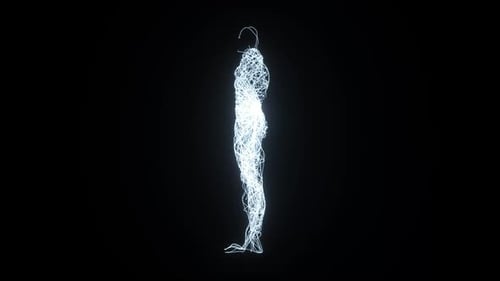 Futuristic Human Body Wireframe Hologram Reveal