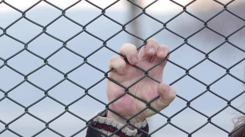 Adult Gripping Chain Link Fence