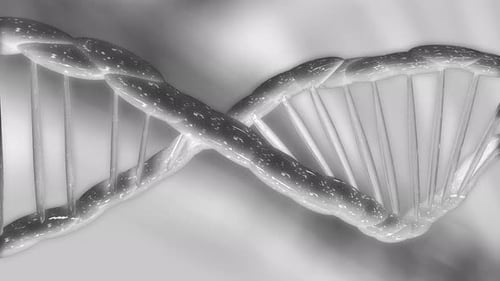 Close Up Grey Dna