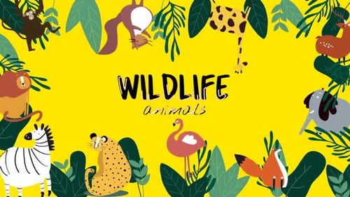 Animated Flat Design Jungle Animals and Leaves Frame