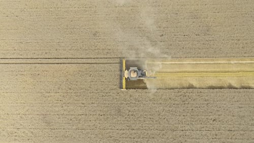Combine Harvester Working in Vast Rural Field
