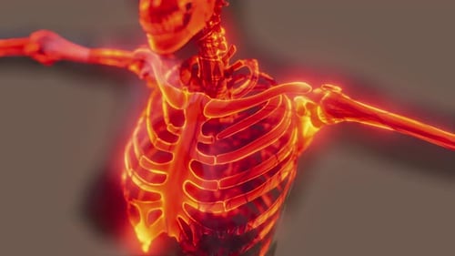 Huesos esqueléticos luminosos de humanos