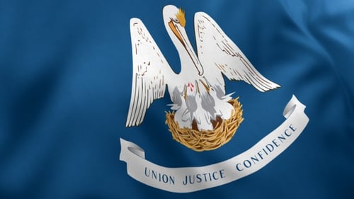 Louisiana State Flag Waving in Realistic Animation