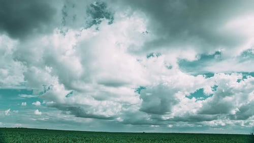 Cumulus en timelapse au-dessus d'un champ de maïs au printemps et en été, journée nuageuse