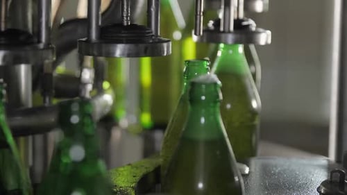 Bottling of Beverages Carbonated Beer Into Glass Bottles