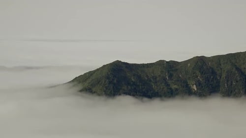 Top Level of Rainforest Mountain Ridges Above the Clouds