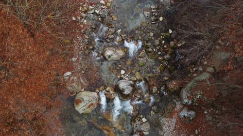 River in mountain forest with red and yellow trees autumn foliage aerial view