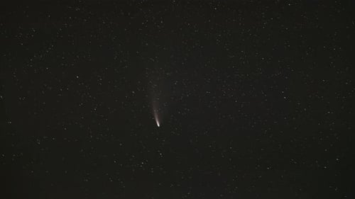 Belarus. 18 July 2020. Comet Neowise In Night Starry Sky. Natural Night Sky Background