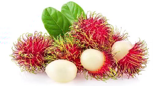Bright Close Up of Red Rambutan Fruit