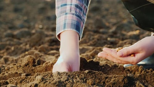Farmer Planting Seeds in Fertile Soil