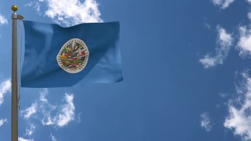Organization of American States Flag Waving with Blue Sky Loop
