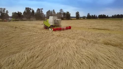 Harvesters with Widecut Reapers Drive in Opposite Directions