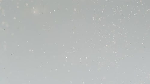 Bright Slice of Lemon in Sparkling Water